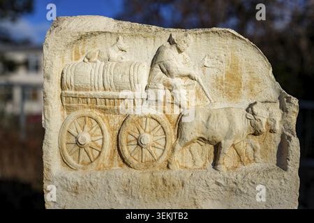 Ein römisches Grabrelief, das den Transport von Weinfässern auf einem Ochsenkarren darstellt. Sie geht auf die Zeit um 200 n. Chr. oder das frühe 3. Jahrhundert n. Chr. zurück Stockfoto