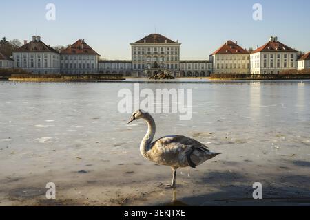 Der Zauber des Winters in München auf Schloss Nymphenburg Stockfoto