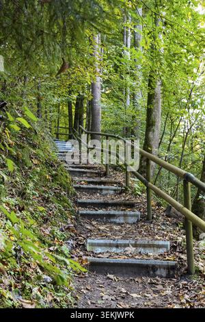 Wanderweg im Wald mit mehreren Stufen, der zum Hechtsee bei Kiefersfelden, Tirol, Österreich führt Stockfoto