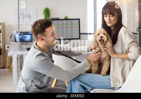 Ein lächelnder Tierarzt überprüft kleinen Hund mit Stethoskop als Besitzer hilft in der Klinik Stockfoto