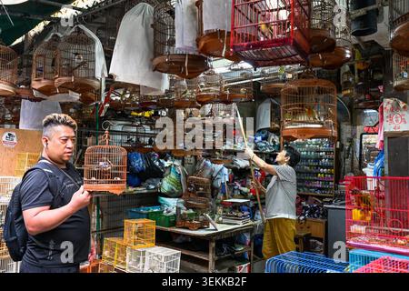 HONGKONG, CHINA, 21. April 2026, interagieren Kunden und ein Anbieter auf dem Bird Market zwischen Dutzenden von traditionellen hölzernen Vogelkäfigen, die von der Decke hängen. Stockfoto
