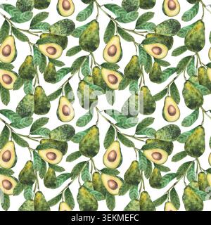 Nahtloses Avocado-Muster in Aquarellfarben. Pflanzenzweig mit ganzen Früchten und halbe Frucht mit Samen schneiden. Botanische handgezeichnete Illustration auf isoliertem weiß Stockfoto