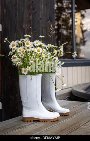 Weiße Regenstiefel voller Gänseblümchen. Frische weiße Gänseblümchen in Regenstiefeln auf einer hölzernen Veranda, die eine rustikale Frühlingsgartendekoration schaffen. Stockfoto