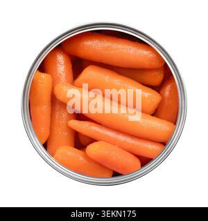 Ganze BabyKarotten, in Wasser eingelegt, in einer Dose. Kleine Karotten aus der Dose, Daucus carota, mit einem zarten, leicht süßen Geschmack. Stockfoto