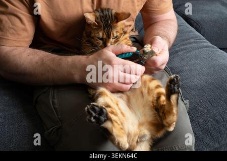Professioneller Nagelschneider für Haustiere in Schwarz und Blau mit scharfen Edelstahlklingen, Sicherheitsschutz und ergonomischen rutschfesten Griffen. Eine Nahaufnahme eines Hig Stockfoto