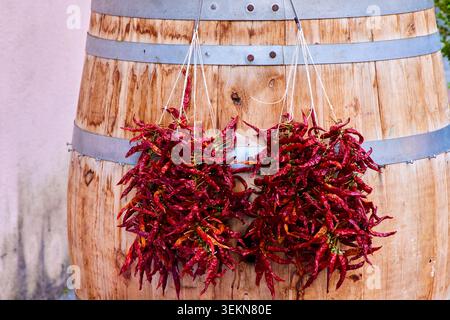 Getrocknete rote Chilischoten hängen an einem hölzernen Weinfass. Stockfoto