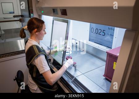 Junge Ärztin bei der Untersuchung von Blutproben im Labor Stockfoto