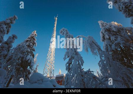 Flacher Blick auf den hohen Telekommunikationsturm über dem mit dickem weißem Schnee bedeckten Wald Stockfoto