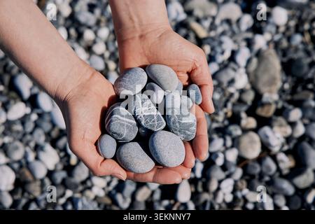 Hände, die eine Handvoll glatter grauer Kieselsteine am Strand halten. Stockfoto