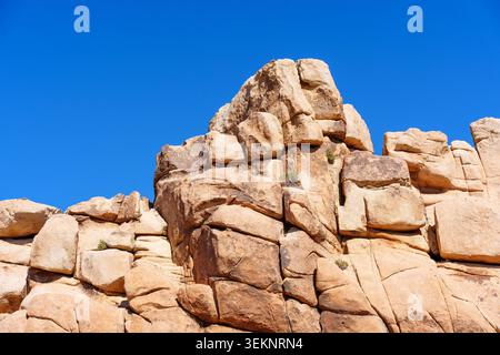 Im Joshua Tree National Park in Kalifornien befinden sich Granitfelsen mit verwitterten Texturen und tiefen Rissen unter einem klaren, leuchtend blauen Himmel. Stockfoto
