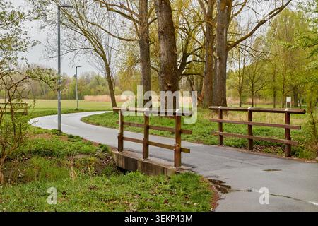 Eine kleine Holzbrücke auf einem gewundenen Asphaltweg durch einen grünen Frühlingspark mit hohen Bäumen und Straßenlaternen. Stockfoto
