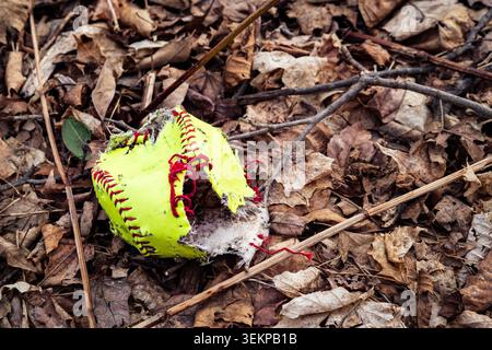 Beschädigter gelber Softball mit roten Nähten auf dem Waldboden Stockfoto