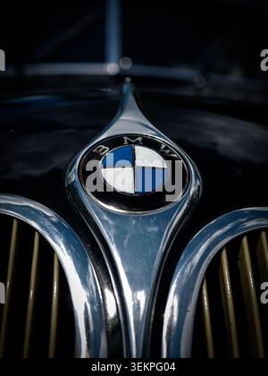 Extreme Nahaufnahme des BMW Emblems und der Niere mit dramatischer Beleuchtung. Stockfoto