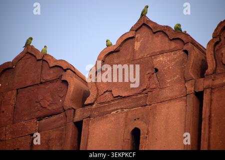 Hoch aufragendes Red Fort oder lal Quila in Delhi, Indien Stockfoto