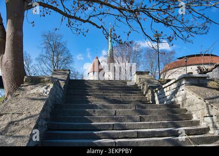 Blick auf die Altstadt mit Steintreppen und Fat Margaret Turm in Tallinn Stockfoto