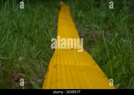 Ein hellgelber Streifen liegt auf grünem Gras, der durch den Park führt. Die Leute laufen in der Nähe, genießen das warme Wetter und den offenen Platz am Nachmittag. Stockfoto