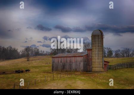 Unter dem bewölkten Himmel am späten Nachmittag befindet sich eine alte, verblasste rote Scheune und ein Silos auf einer Rinderweide im ländlichen Tennessee. Stockfoto