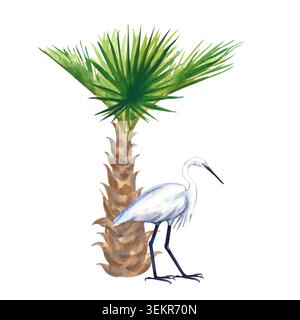 Handgezeichnete Aquarellillustration mit einer kleinen Fächerpalme und einem weißen Reiher (Reiher) daneben. Isoliert auf weißem Hintergrund, das hier Stockfoto