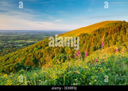 Frühlingsvormittag auf den Malvern Hills in Worcestershire. Stockfoto