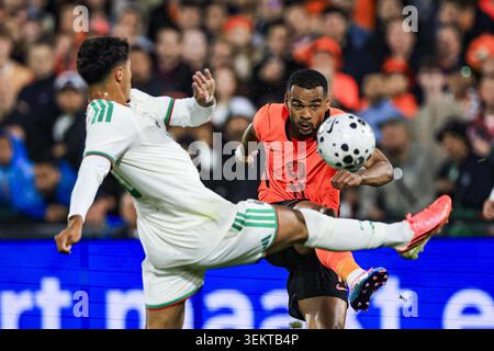 Rotterdam, Niederlande. Juni 2026. ROTTERDAM, 03-06-2026, Stadion Feijenoord de Kuip, Saison 2025/2026, FIFA International Football, Freundschaftsspiel zwischen den Niederlanden und Algerien, Foto zeigt den niederländischen Spieler Cody Gapko Credit: Pro Shots/Alamy Live News Stockfoto