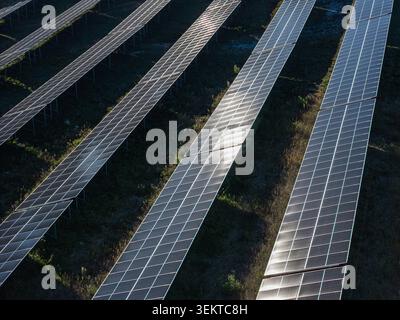 Die Luftaufnahme zeigt in ordentlichen Reihen angeordnete Solarpaneele an einem Solarkraftwerk. Panels fangen Sonnenlicht auf, um saubere Energie zu erzeugen. Stockfoto