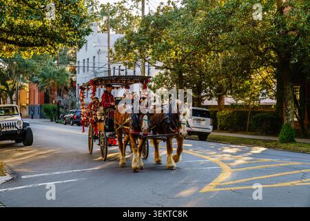 Savannah, GA, 28. Dezember 2023: Pferdekutschenfahrt durch das historische Viertel Savannah, Georgia Stockfoto