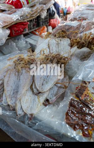 Reihen flacher getrockneter Tintenfische und Tintenfische, verpackt in Plastikfolie auf einem Tablett an einem Straßenmarkt in Thailand. Stockfoto