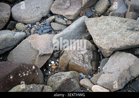 Nahaufnahme von oben auf verschiedene graue und braune Steine, Kieselsteine und Felsen, natürliche geologische Textur Stockfoto