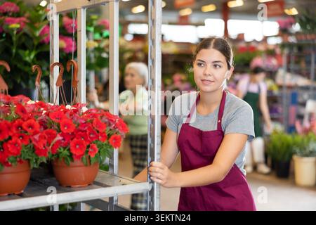 Junge Verkäuferin steht neben Regalen mit roter Petunie auf dem Open-Air-Pflanzenmarkt Stockfoto