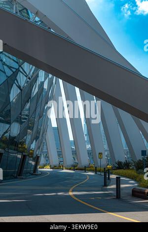 Blick aus einem niedrigen Winkel auf die hoch aufragenden Supertree-Strukturen, die mit tropischen Kletterpflanzen bedeckt sind, in Gardens by the Bay, Singapur, Südostasien Stockfoto