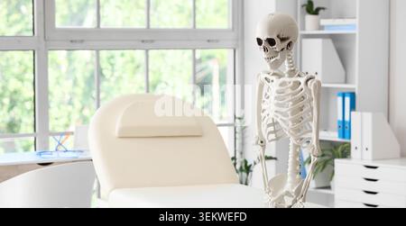 Menschliches Skelett-anatomisches Modell neben medizinischem Untersuchungsstuhl in heller Klinikpraxis, orthopädisches und anatomisches Bildungskonzept mit Heilung Stockfoto