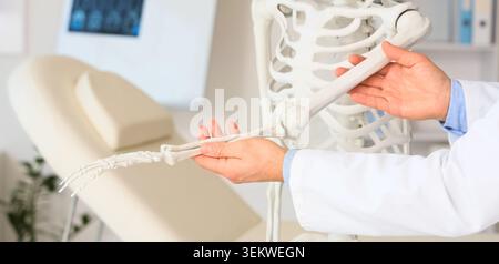 Arzt, der menschliche Armknochen auf anatomischem Skelettmodell in der medizinischen Praxis demonstriert, Nahaufnahme der orthopädischen Untersuchung, Anatomieaufklärung, Gesundheitswesen Stockfoto