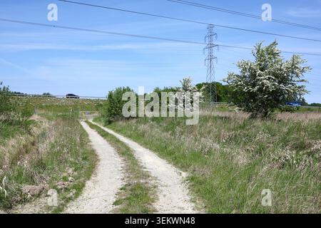 Malerische Feldstraße, die sich durch ein grünes Sommerfeld unter blauem Himmel schlängelt, friedliche ländliche Landschaft mit einem Landweg, Naturhintergrund. Stockfoto