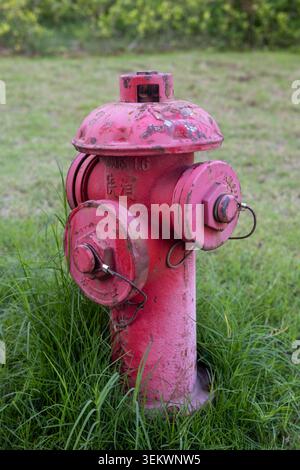 Verwitterter roter Hydrant in grünem Gras, Außensicherheitsausrüstung aus nächster Nähe Stockfoto