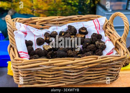 Teure schwarze Trüffel Gourmet-Pilze im Korb Stockfoto