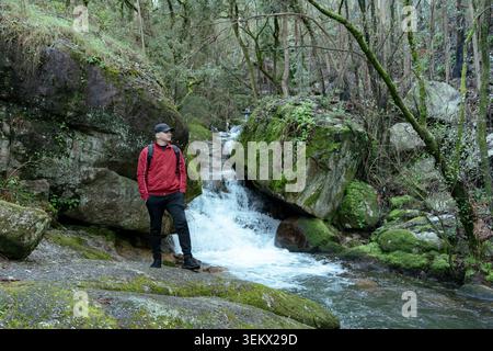 Man erkundet üppig grünen Wald mit strömenden Wasserfällen und moosigen Felsen Stockfoto