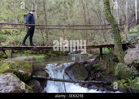 Der Mensch erkundet die Natur, spaziert auf einer Holzbrücke über einem fließenden Bach in einem üppigen Wald Stockfoto