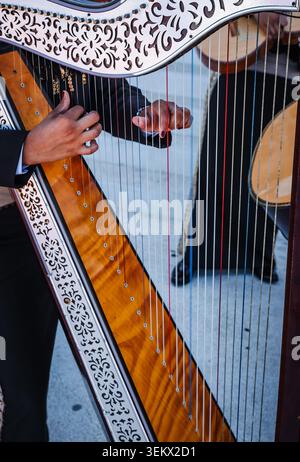 Nahaufnahme eines Musikers, der eine traditionelle mexikanische Mariachi-Harfe spielt. Volksmusik mit Streichinstrumenten und Musikern in charro-Anzug Stockfoto