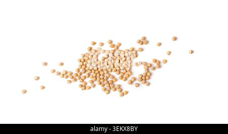 Kichererbsen isoliert, verstreut Kichererbsenhaufen, trockene Cicer arietinum Früchte, rohe bengalische Gramm Leguminosen, Garbanzobohnen, ägyptische Erbsensamen auf weißem Ba Stockfoto