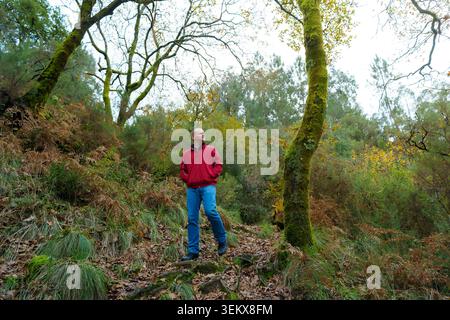 Mann in roter Jacke, der im Herbst durch einen moosigen Wald wandert Stockfoto