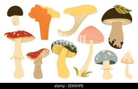 Herbst Pilze Vektor Set Flache Geometrische Wald Pilz Sammlung Isoliert Stock Vektor