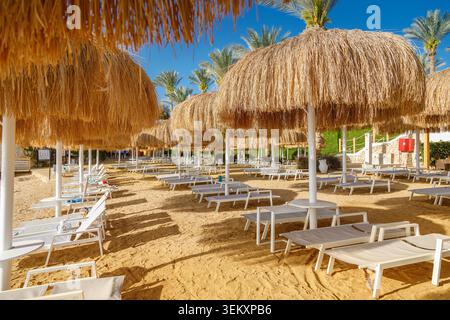 An einem sonnigen Morgen sind Reihen von Strohschirmen und Liegestühlen an einem privaten Sandstrand in einem luxuriösen tropischen Hotel angeordnet Stockfoto