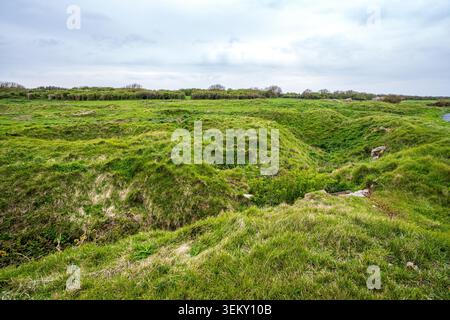 Ein weites Feld von rollenden Unebenheiten und tiefen Bombenkratern der alliierten D-Day-Bombardements, komplett bedeckt mit dickem grünem Gras. Der Hintergrund wird angezeigt Stockfoto