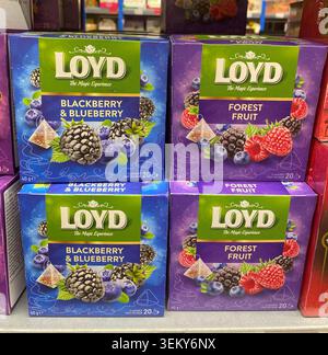 Nessebar, Bulgarien - 03. Juni 2026: Loyd Teeboxen mit Aromen von Brombeeren, Blaubeeren und Waldfrüchten in einem Supermarktregal mit vib Stockfoto