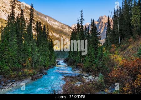 Klarer türkisfarbener Fluss, der durch einen üppig grünen Kiefernwald mit hohen Bergen fließt Stockfoto