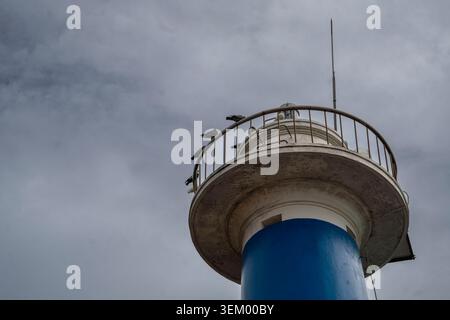 Ein Niedrigwinkelfoto mit Blick auf die Spitze eines blau-weißen Leuchtturms, mit mehreren Tauben, die auf dem runden Geländer um den Lampenraum sitzen. Die Stockfoto