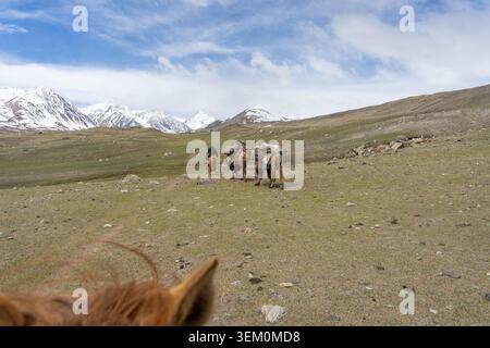 Ein POV-Schuss vom Pferd, der einer beladenen baktrischen Kamelkarawane über eine Almwiese zu schneebedeckten Gipfeln im mongolischen Altai folgt Stockfoto