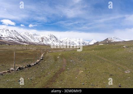 Ein POV-Schuss vom Pferd, der einer beladenen baktrischen Kamelkarawane über eine Almwiese zu schneebedeckten Gipfeln im mongolischen Altai folgt Stockfoto