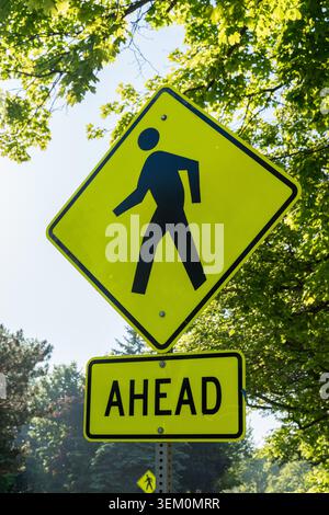Vertikale Ansicht eines diamantförmigen Fußgängerschildes mit einem Piktogramm für Walking Person auf hellgelbem Hintergrund Stockfoto