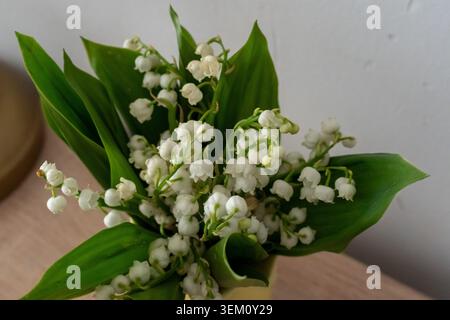 Frischer Blumenstrauß blühender Maiglöckchen in Glasvase auf Holztisch drinnen mit weichem natürlichem Licht. Konzept der Frühlingsfrische Stockfoto